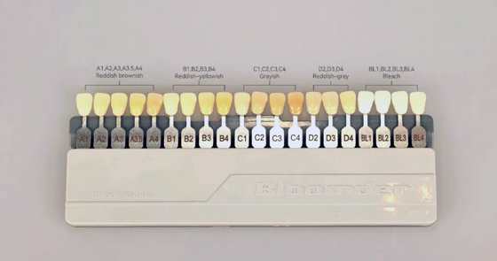 Zirconia Shade Guide