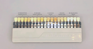 Zirconia Shade Guide