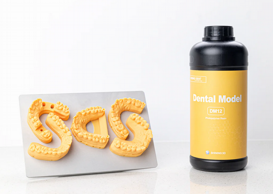 Shining Dental Model, Geller Model  Resin DM12